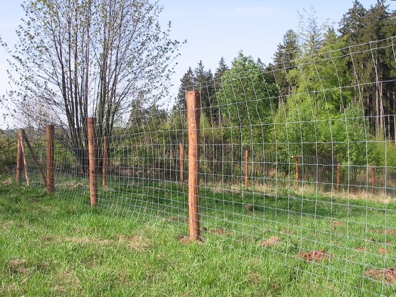 Forestry fencing 1.6/1600/16