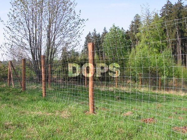 Everything for new forestry fence in our e-shop